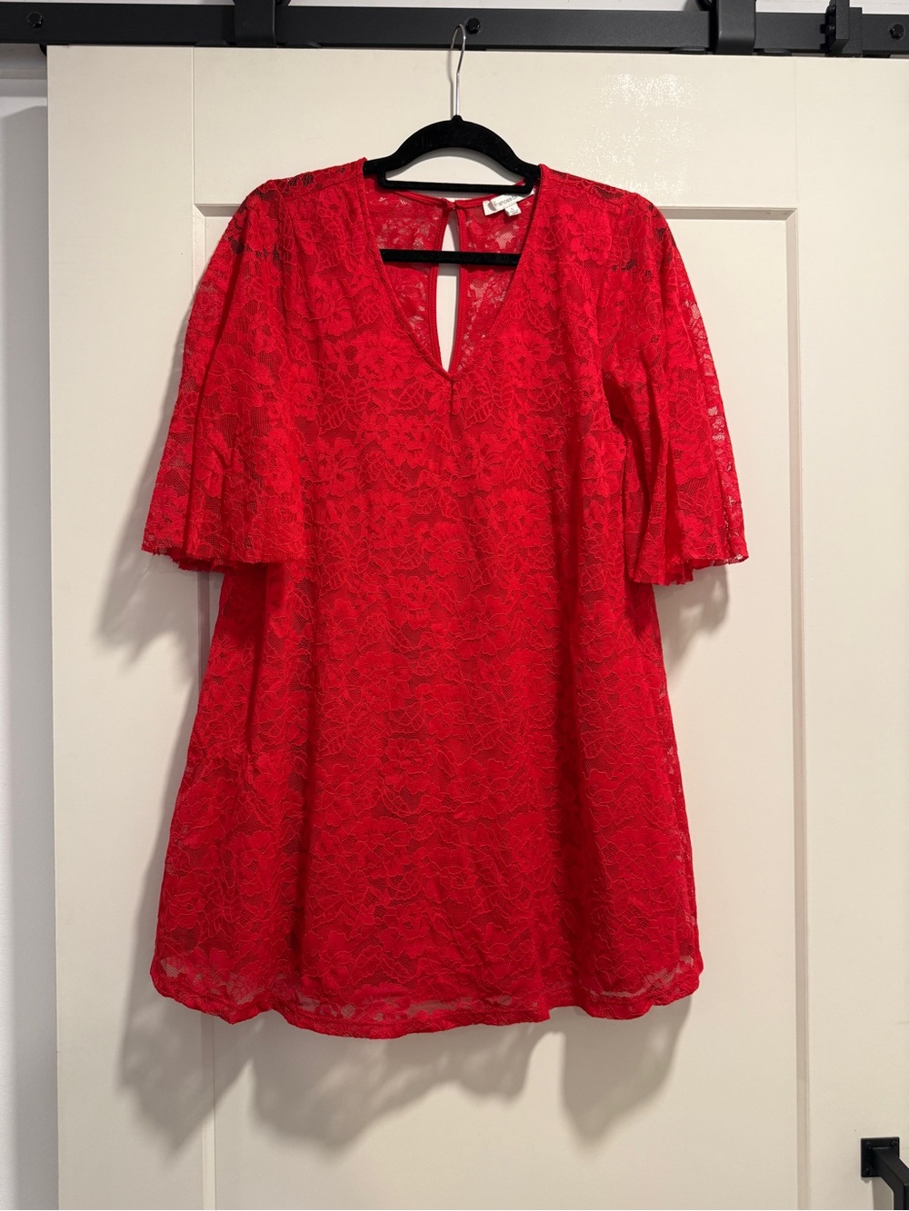 Francesca's Collections Red Lace Mini Dress